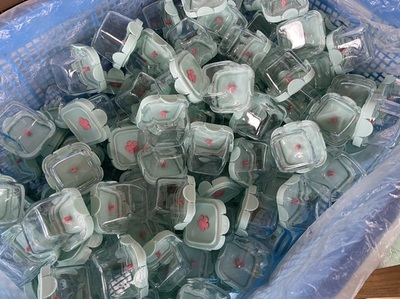 宁波佰仕汇 探索日用百货销售新路径，打造便捷生活新体验